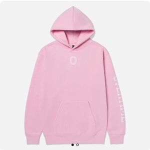 Kids Pink Hoodie with Logo